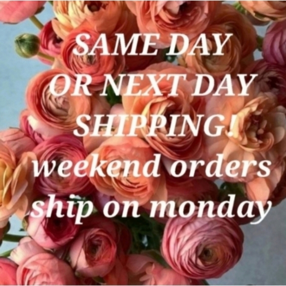 Sam Edelman Metallic Gold Slide Sandals - Women. Size 14. - Picture 9 of 9